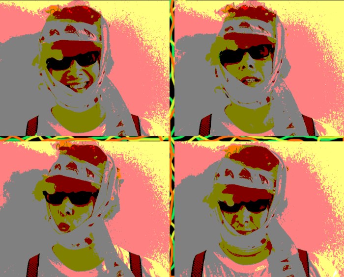 Dadaman Does Warhol